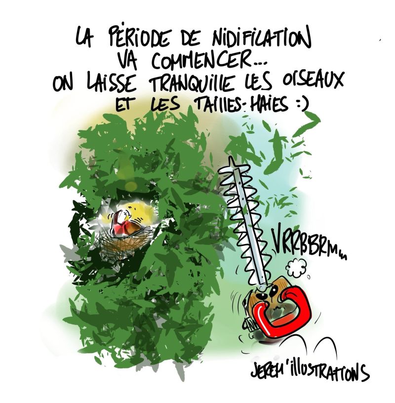 Période de nidification