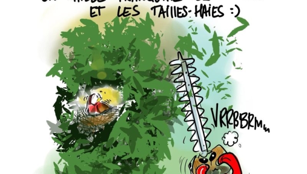 Période de nidification
