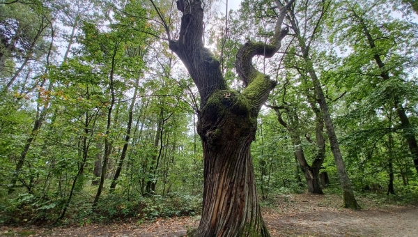 les niches écologiques