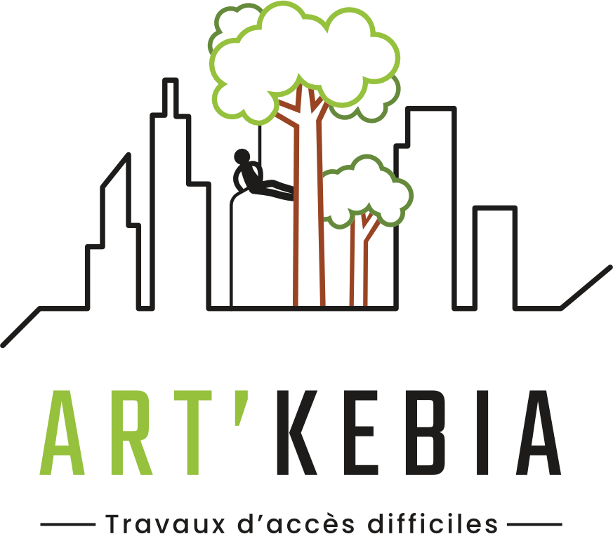 Elagage Grenoble | ArtKebia